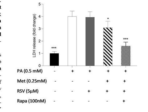 David Sinclair On Twitter RSV Metformin Reduced Lipid Accumulation