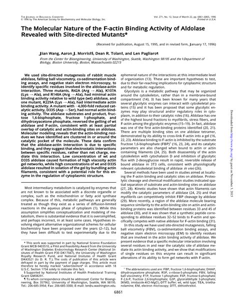 Pdf The Molecular Nature Of The F Actin Binding Activity Of Aldolase