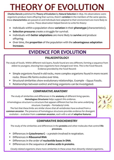 Biology As Level Ocr Revision Notes Classification Teaching Resources