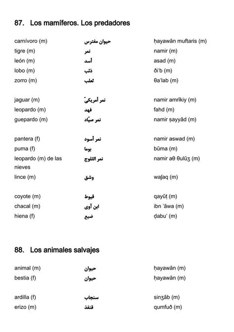 Vocabulario Español Árabe 5000 palabras más usadas Lengua arabe