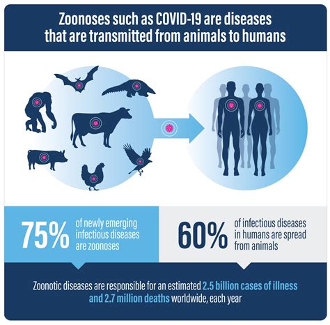 Zoonotic Pandemics Viruses Animals And Humans In A Globalised World