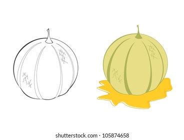 Colored Outlined Yuzu Fruits Vintage Botanical Stock Vector Royalty