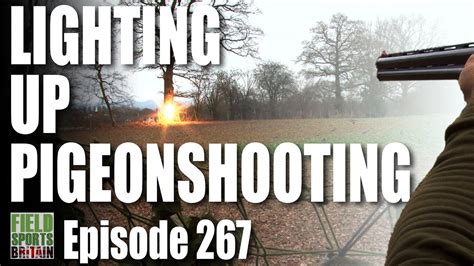 Fieldsports Britain Lighting Up Pigeon Shooting Youtube