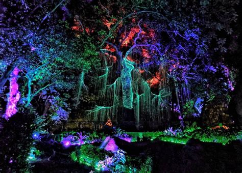 #PenangAvatarSecretGarden: Come Experience An Avatar-Like Garden In Penang