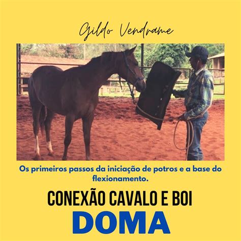 Doma Inicia O De Potros Conex O Cavalo E Boi