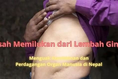 Kisah Memilukan Dari Lembah Ginjal Menguak Perdagangan Organ Manusia