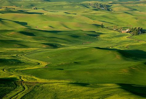 Palouse Spring Photograph By Mike Dawson