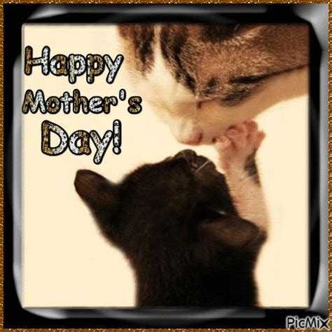 Kitty Happy Mothers Day Cat Kitty Mothers Day Happy Mothers Day