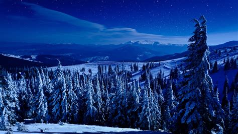 Night view of winter deep forest on hills covered with snow | Windows ...