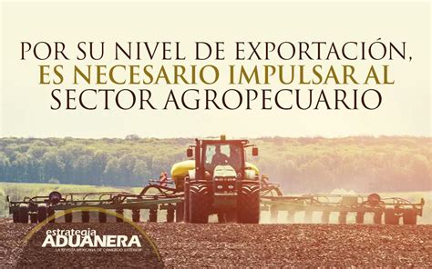 Por Su Nivel De Exportaci N Es Necesario Impulsar Al Sector