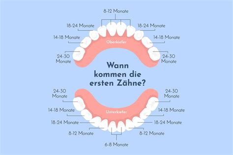 Babys Erste Z Hne Wann Kommen Welche Milchz Hne Wunderweib