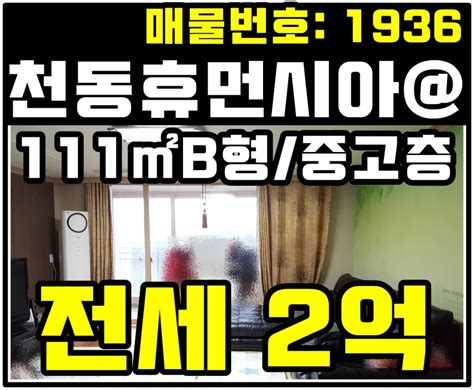 대전 동구 아파트전세 천동휴먼시아2단지 33b평 전세 2억 네이버 블로그