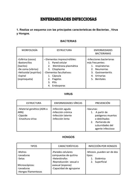 Infectious Diseases Enfermedades Infecciosas 1 Realiza Un Esquema