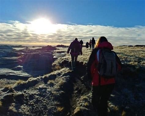 Tripadvisor Vogels In Het Nationale Park Tierra Del Fuego Aangeboden Door Magellanic Nature