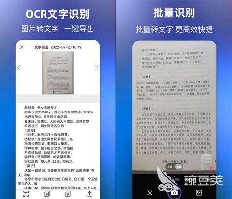 文字提取软件哪个好 好用的文字提取软件有什么豌豆荚