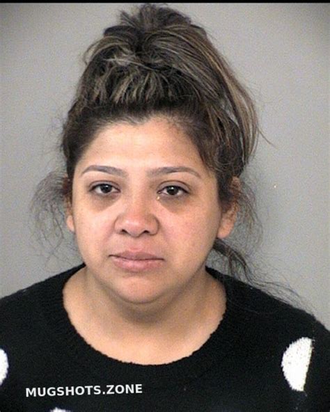 Cantu Jennifer Fort Bend County Mugshots Zone