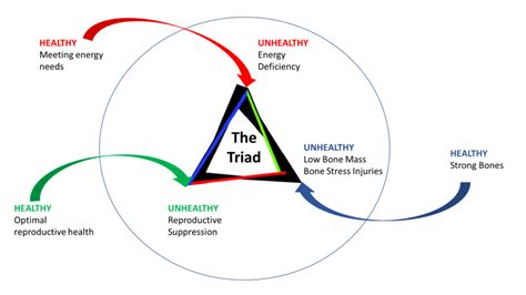 definition  female athlete triad juliasrwalker