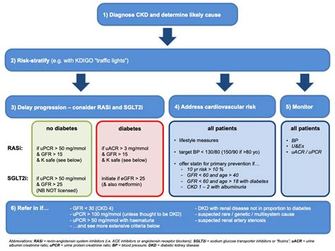 CKD Summary Overview Edren Org