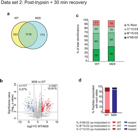 Figures And Data In Tapbpr Mediates Peptide Dissociation From Mhc Class