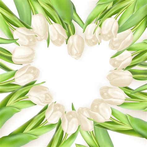 Premium Vector Isolated Tulip Frame