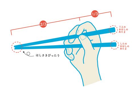 お箸の持ち方：お箸の練習 子どものための おはしのあれこれ学べる「箸育キッズ」