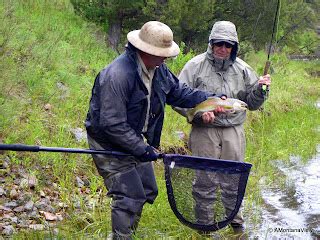 Big Hole River In Late June A Rainy Day And Good Fishing A Montana