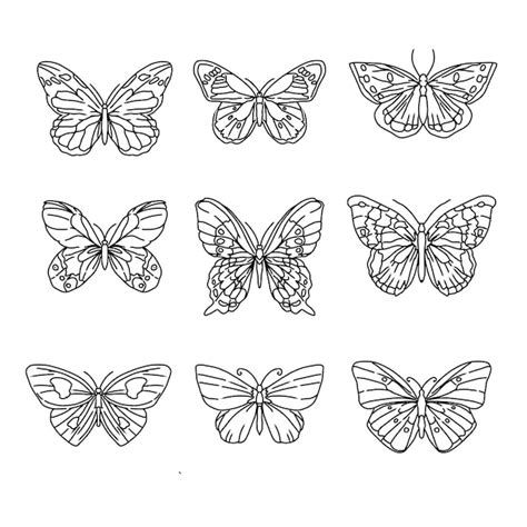 Schmetterling Handgezeichnet Doodle Illustrationen Vektorset