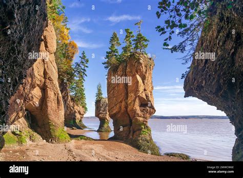 Sea Stacks And Cliffs At The Hopewell Rocks In Hopewell Rocks