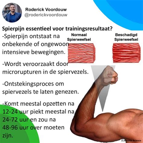 Spierpijn Essentieel Voor Trainingsresultaat Of Niet