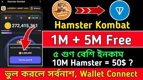 Hamster Wallet Connect 5 গণ বশ ইনকম Hamster Kombat Hamster