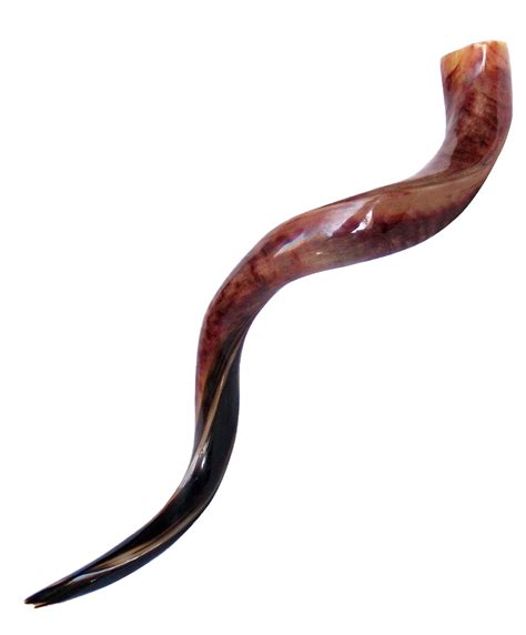 Shofar PNG Images Transparent Free Download