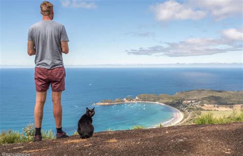 Adventurous Pets That Have Travelled The World In Style