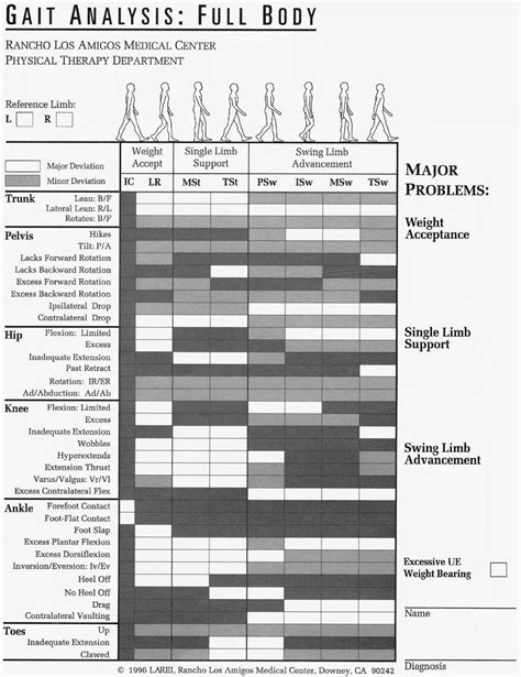 Gait And Gait Deviations From Perry And Rancho Card Diagram Quizlet