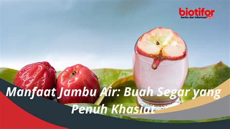 Manfaat Jambu Air Buah Segar Yang Penuh Khasiat Biotifor