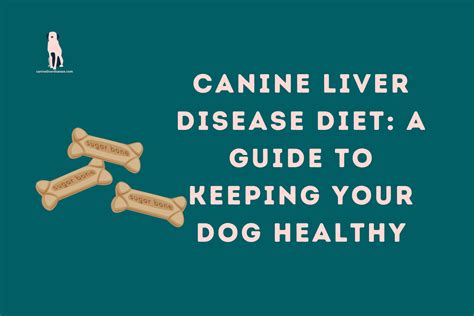 Canine Liver Disease Diet: A Guide to Keeping Your Dog Healthy - Canine ...