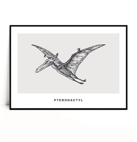 Fox Art Studio Plakat Pterodactyl Wymiary 70x100 Cm FOX ART STUDIO