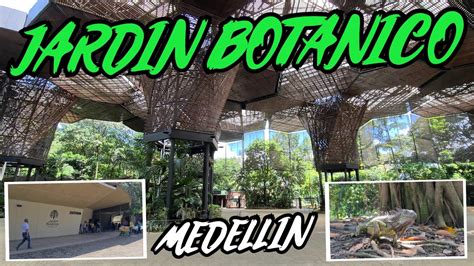 Así es el Jardín botánico de Medellín 4K YouTube