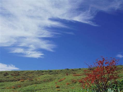 无人横图室外白天正面旅游度假草地草原草坪美景秋季植物日本亚洲景观云云朵云彩娱乐草树树木蓝色绿色