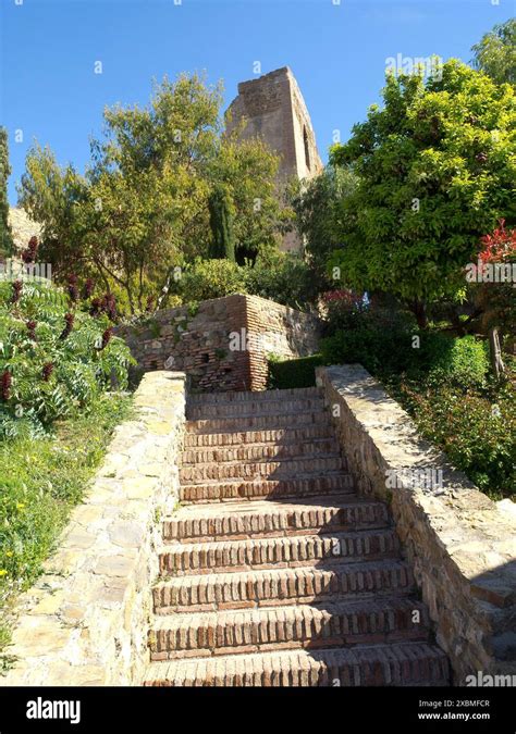 Stone Staircase Leading To Ancient Ruins In Garden Full Of Vegetation