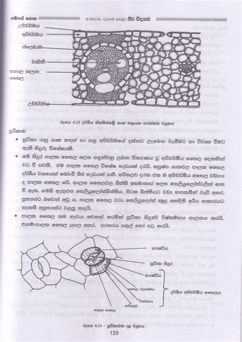 Biology Sampath Potha 12 A L Kuppiya Store Cash On Delivery