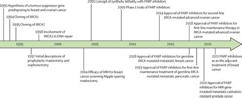 Brca A Year Journey From Gene Identification To Targeted Cancer