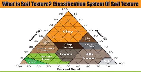 What Is Soil Texture? Classification System Of Soil Texture | Soil ...