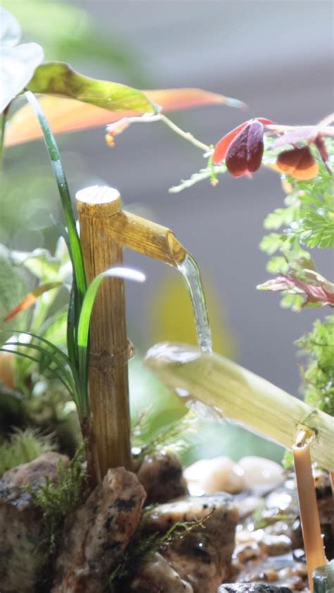 Colorful Balcony Garden Ideas Add A Pop Of Color To Your