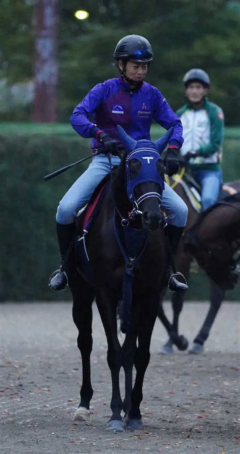 札幌記念11着のオークス馬ユーバーレーベン 天皇賞・秋からジャパンcへ スポニチ競馬web