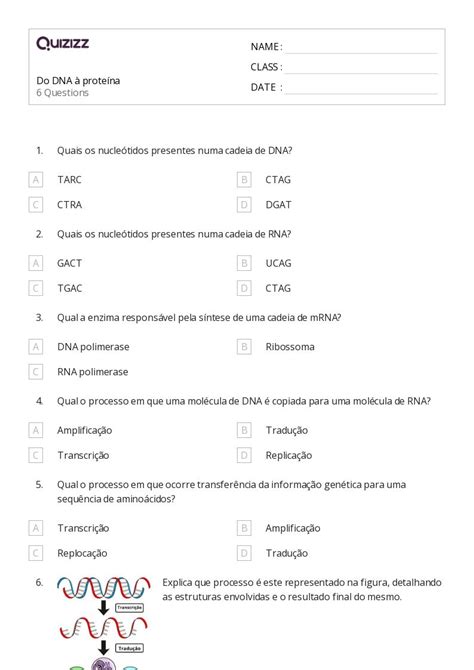 estrutura e replicação do dna imprimível 11ª série planilhas Quizizz