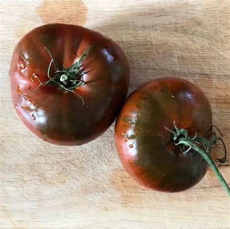 Paul Robeson Tomato Organic Heirloom Seeds Etsy