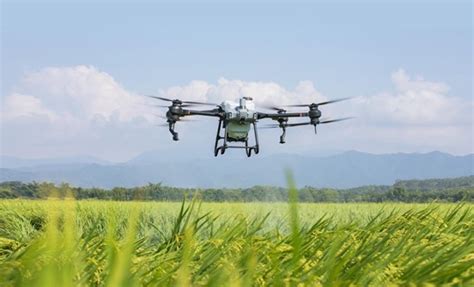 El Informe Dji Agriculture Drone Insight Revela Mayor Implantación De Técnicas Agrícolas