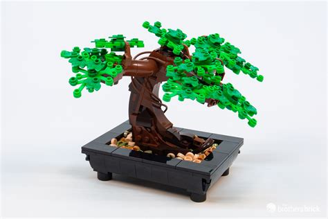 Lego Botanical Collection Bonsai Tree Tbb Review Cy The