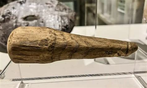 Veni Vidi Vici Roman Pestle Found In Ditch Could Be A Dildo The