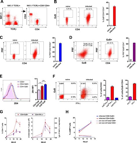 Cytotoxic Cd T Cells Driven By T Cell Intrinsic Il R Myd